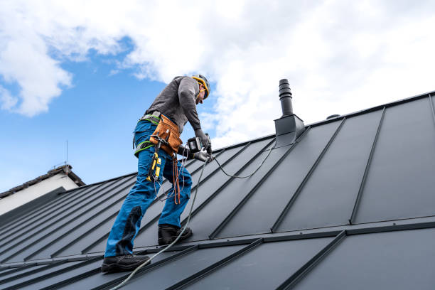 Best Gutter Installation and Repair  in Massapequa Park, NY